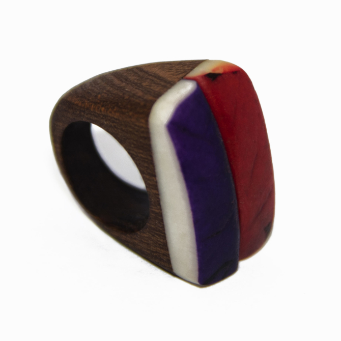 ANILLO-2-scaled-1.jpg blank