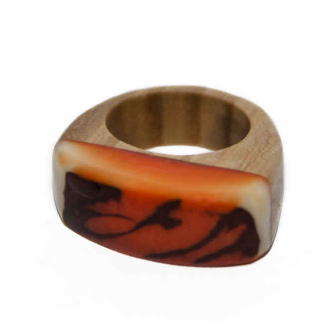 ANILLO-3G-scaled-1.jpg blank